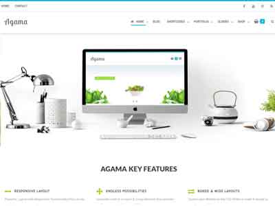 agama free wp theme