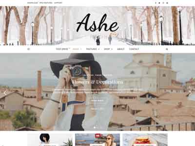 ashe free wp theme