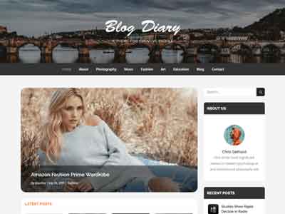 blog diary free wp theme