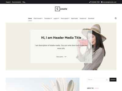 cenote free wp theme