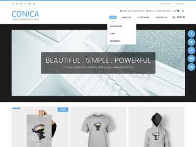 conica free wp theme