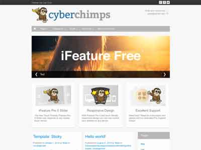 ifeature wp free theme