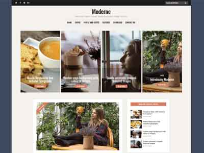 moderne wp free theme