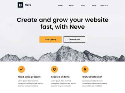 neve wp theme