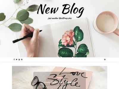 new blog free wp theme