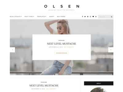 olsen light free wp theme