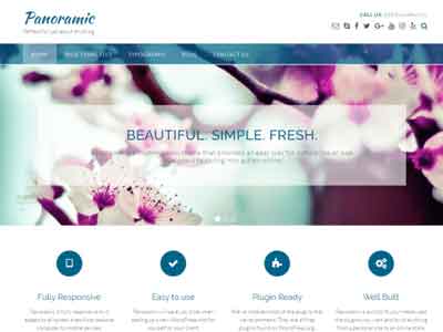 panoramic free wp theme