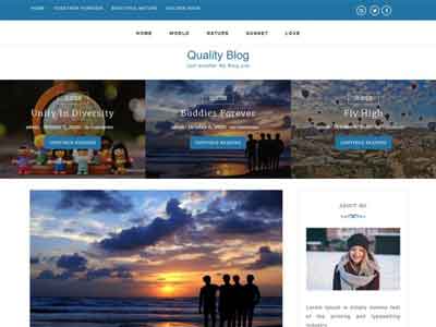 quality blog free wp theme