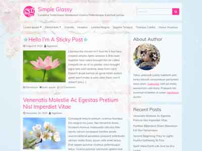 simple glassy free wp theme