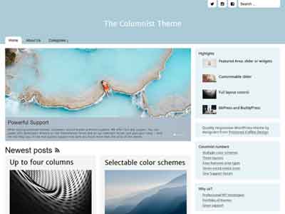 the columnist free wp theme