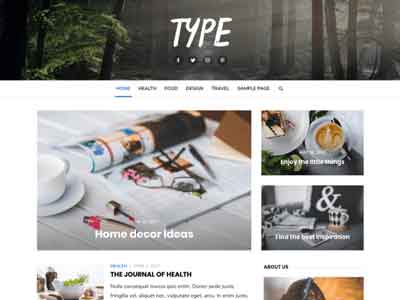 type free wp theme